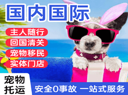 汉中城固机场快递国际宠物托运 【国